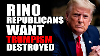RINO Republicans WANT Trumpism to be DESTROYED