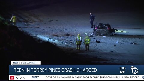Teen in Torrey Pines crash charged