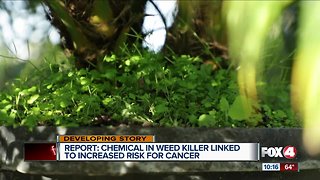 Study shows exposure to a chemical in weed killer could increase risk of cancer