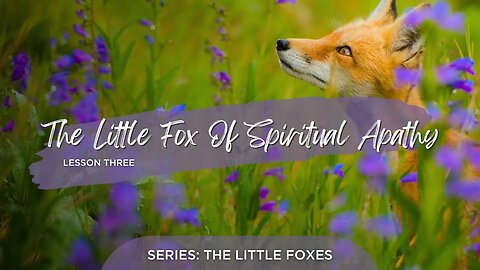 The Little Fox of Spiritual Apathy lesson 3
