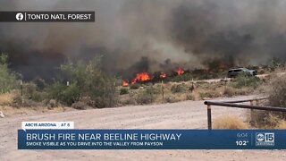 Brush fire near beeline highway