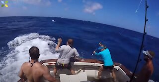 Top 5 Big Fish Caught - Amazing Fishing Skills Catching Big Tuna