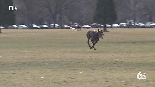 Boise Parks and Rec extends dog off-leash season through May 31