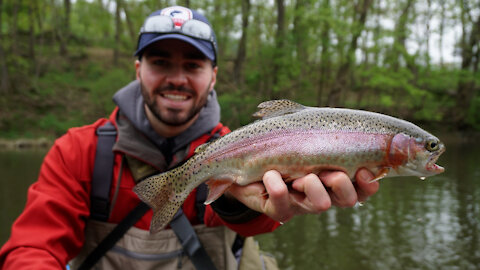 FLY FISHING for Trout in Pennsylvania!