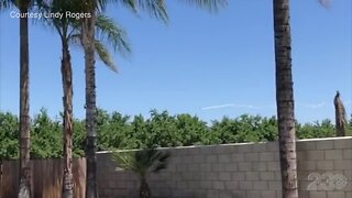 Viewer video of the CAU flyover