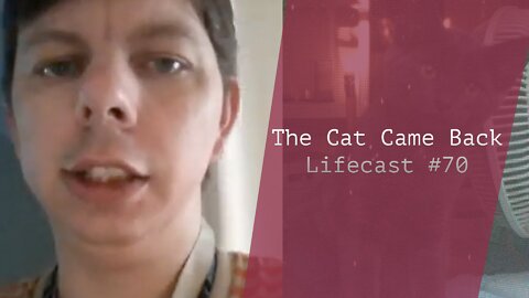The Cat Came Back | Lifecast #70