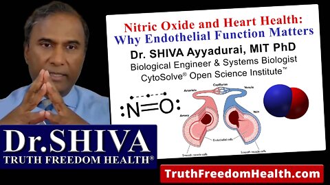 Nitric Oxide and Heart Health - Why Endothelial Function Matters - Dr.SHIVA