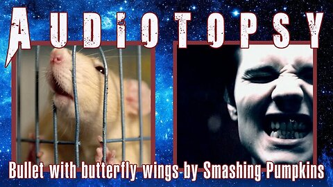 Christians React: "Bullet With Butterfly Wings" by Smashing Pumpkins