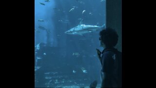 World Largest Aquarium