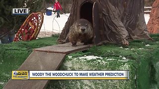 Woody Woodchuck Predicts an Early Spring