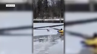 Chardon Fire Department saves rescue dog named Spring from half-frozen lake