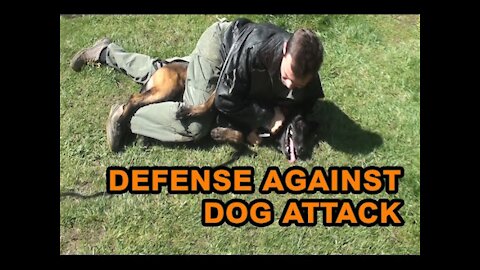 Defend against a dog Self defense against dog attack
