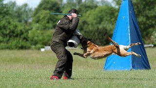 How to defend against a dog, Self defense The Spetsnaz Way