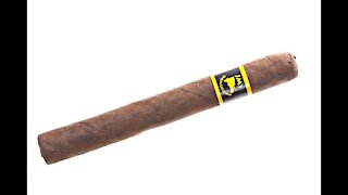 JMs Dominican Maduro Corona Cigar Review