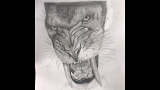 Saber-Toothed Cat Drawing Time-Lapse