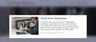 Some college students find virtual internships