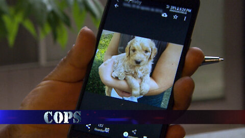 Puppy Love, COPS TV SHOW