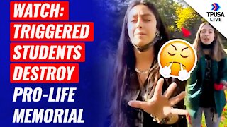 WATCH: Triggered Students Destroy Pro-Life Memorial