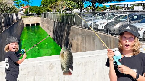 CAUGHT SO MANY FISH at COSTCO! | Urban Fishing Challenge