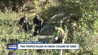Deer triggers deadly morning crash in Orleans County