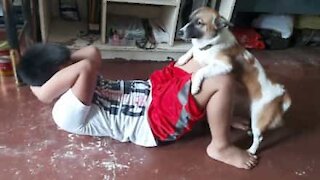Dog helps owner work out during quarantine