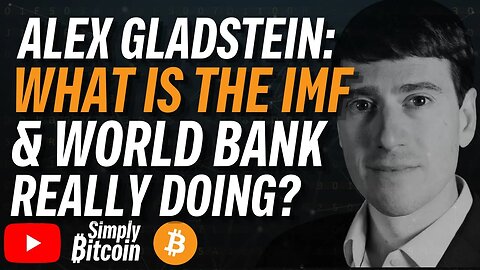 ALEX GLADSTEIN: The Truth About The IMF & World Bank!!