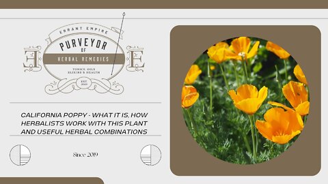 California Poppy - What it is - How Herbalists Work with it - Helpful Herbal Combinations