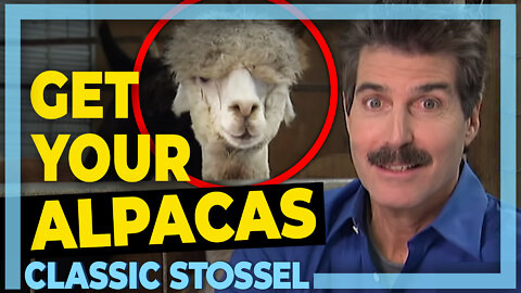 Classic Stossel: Get Your Alpacas