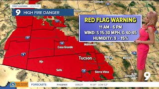 Strong winds bring high fire danger