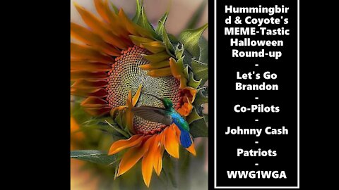 Hummingbird and Coyote's MEME-Tastic Halloween Roundup Ft The Co-Pilots, Johnny Cash and Bryson Gray