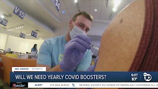 Will COVID-19 vaccine booster shots become a yearly necessity?
