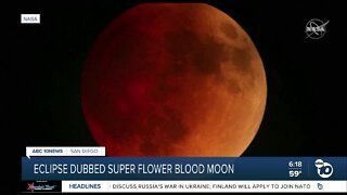 Expert speaks on super flower blood moon