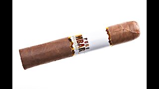 Exactus Puro Ambar Short Coloso Cigar Review