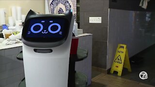Madison Heights restaurant brings in robots amid worker shortage