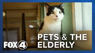 Pets for the Elderly