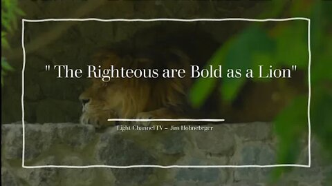 Jim Hohnberger : Taming the Lions : " The Righteous are Bold as a Lion" Proverbs 28:1