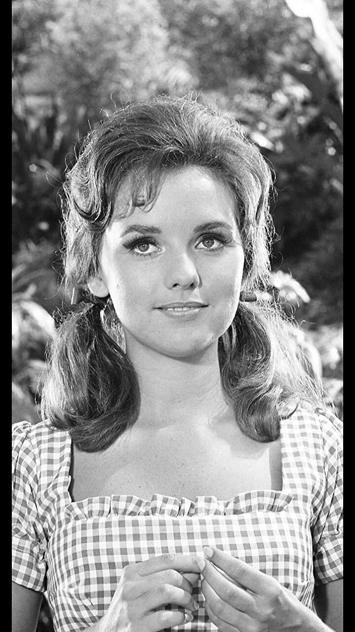 Timeless Hotties Dawn Wells