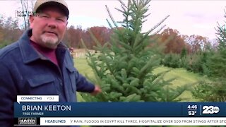 Don't Waste Your Money: Now there's a Christmas tree shortage, too