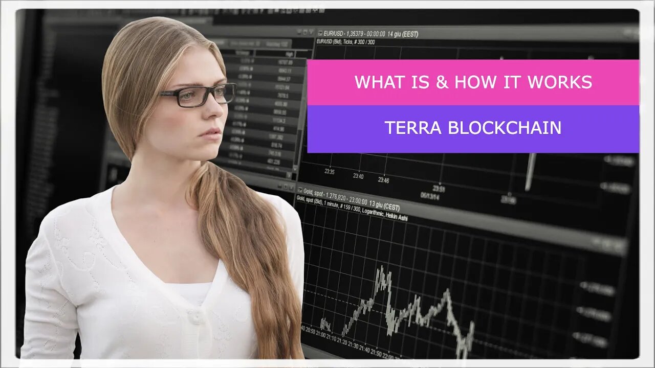 the terra blockchain explorer