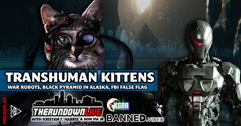 The Rundown Live # 836 - Transhuman Kittens, Black Pyramid in Alaska, War Robots