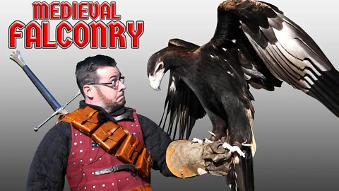 Medieval FALCONRY was AMAZING!