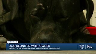 Dog Reunited With Owner