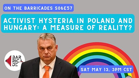 Activist hysteria as measurement of reality, the case of Poland and Hungary