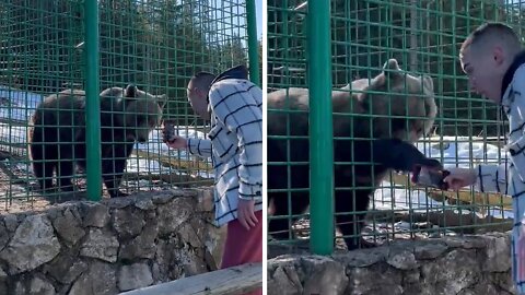 Bear deals dose of instant karma to unsuspecting visitor