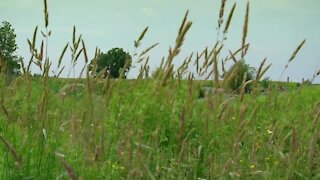 Group files lawsuit to block Outer Harbor development project