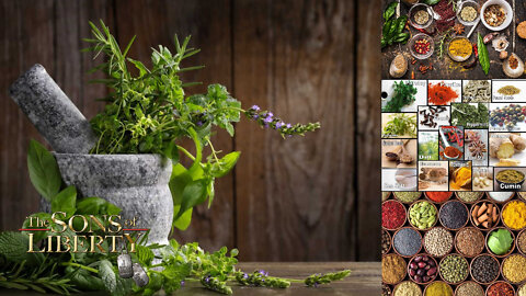 Prepping 202: Growing Food & Herbs For Health & Healing
