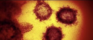 Theory on how to kill coronavirus