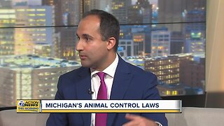Michigan's animal control laws