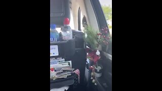 Uber driver goes all out for his passengers.mp4