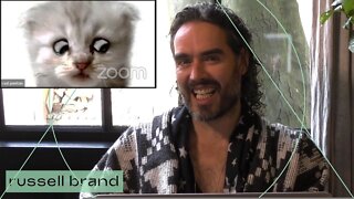 Russell Brand Reacts to Cat Lawyer Viral Video